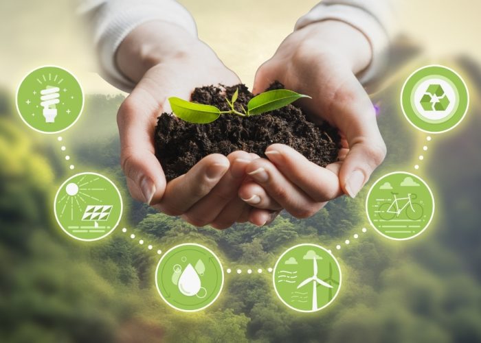preservacao ambiental e sustentabilidade